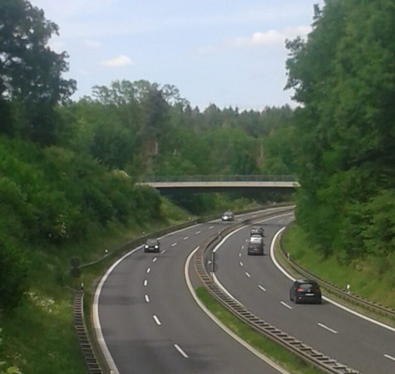 Ausbau der B469 zwischen Stockstadt und Großostheim – keine Notwendigkeit!