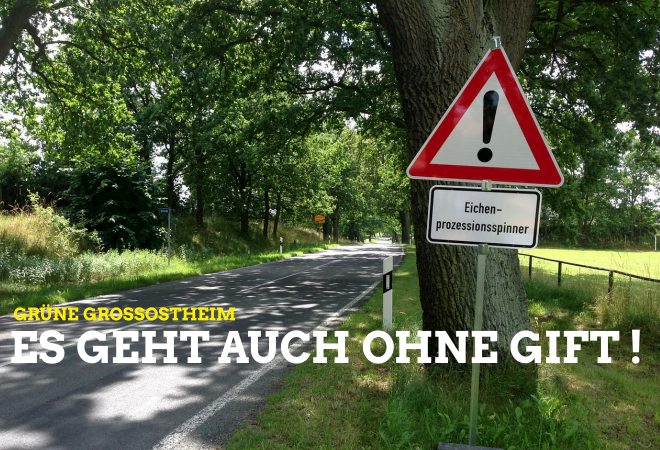 Eichenprozessionsspinner – Es geht auch ohne Gift !