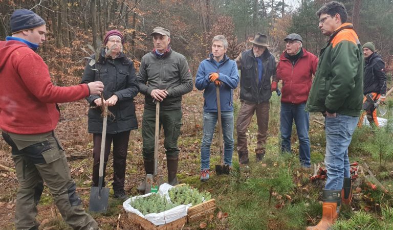 Baumpflanzaktion im Großostheimer Unterwald