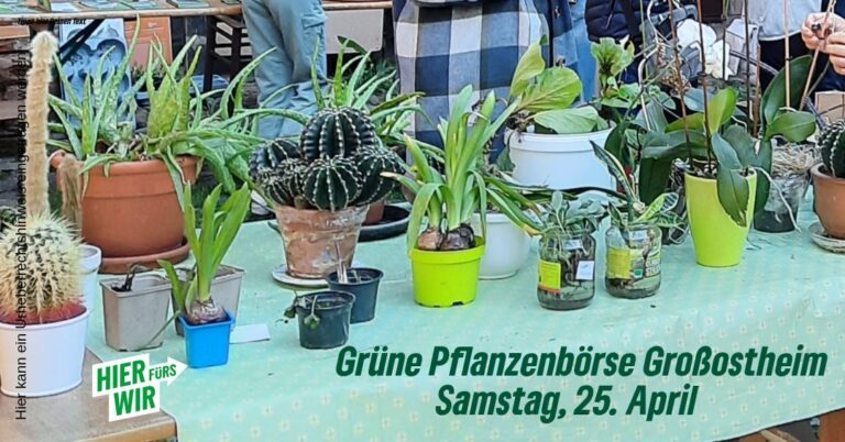 3. Pflanzenbörse in Großostheim am 25. April